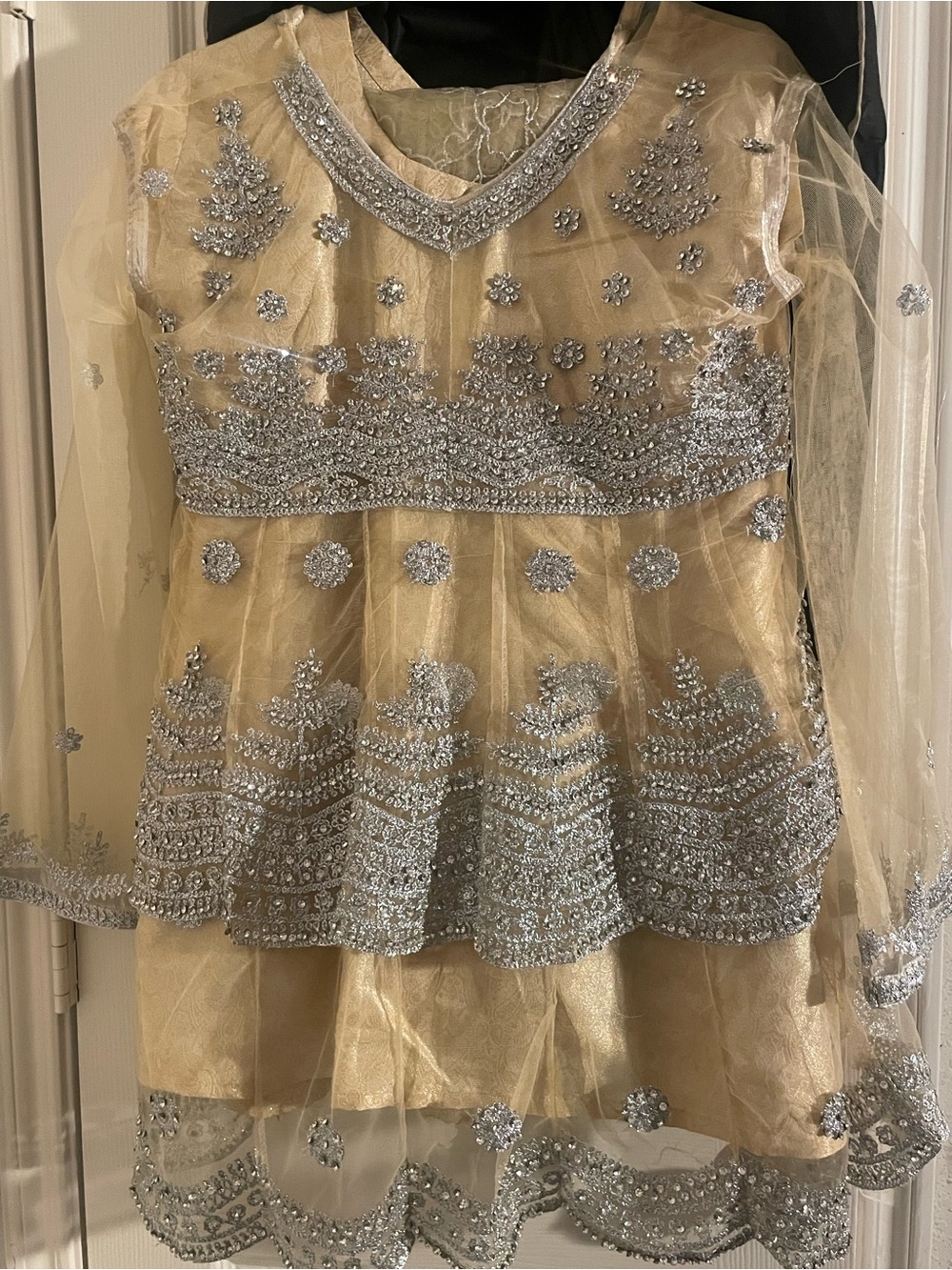 Indian/pakistani Party wear